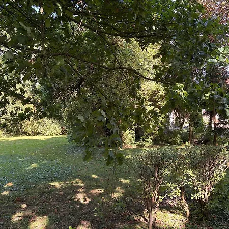 Ostfriesland-haus 度假居